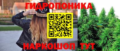 каннабис Кингисепп