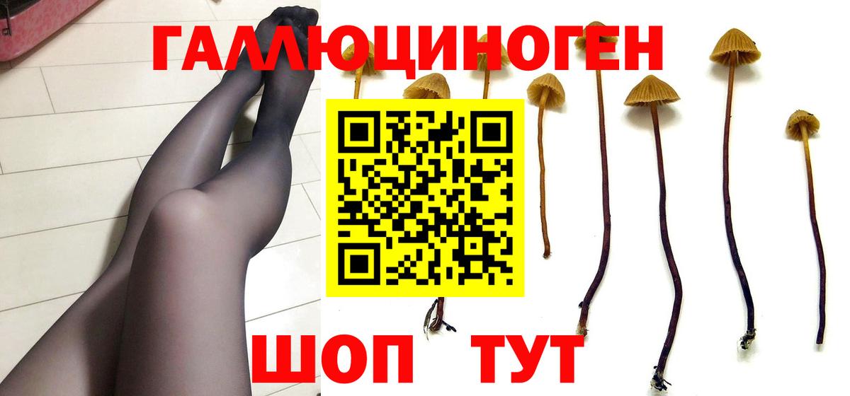 Псилоцибиновые грибы GOLDEN TEACHER Ставрополь